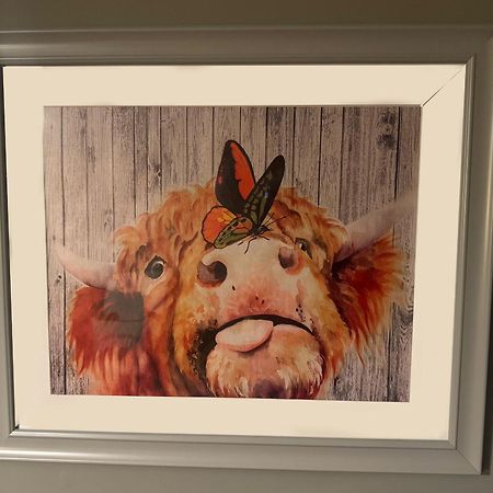 The Veterinary @ Kildare Village מראה חיצוני תמונה