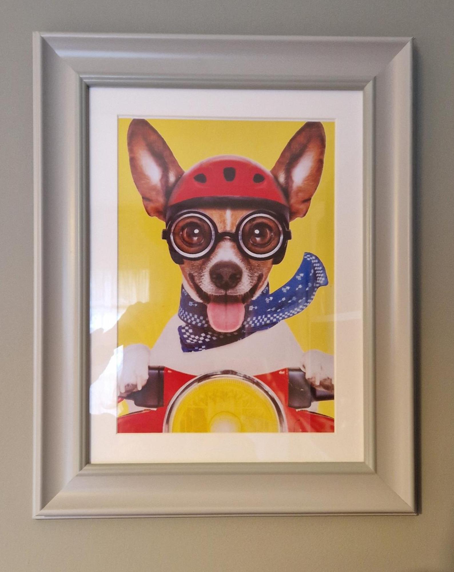 The Veterinary @ Kildare Village מראה חיצוני תמונה