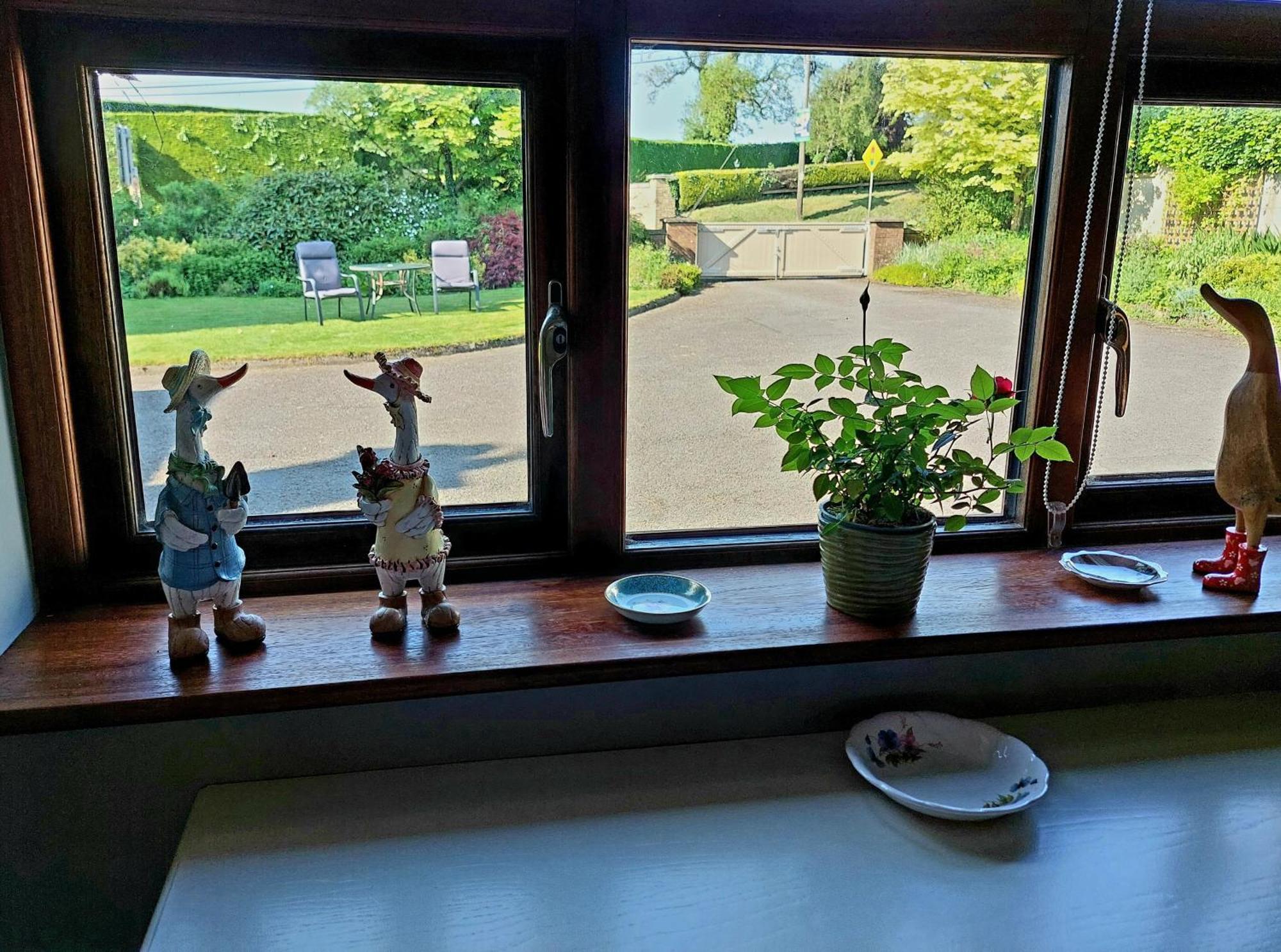 The Veterinary @ Kildare Village מראה חיצוני תמונה