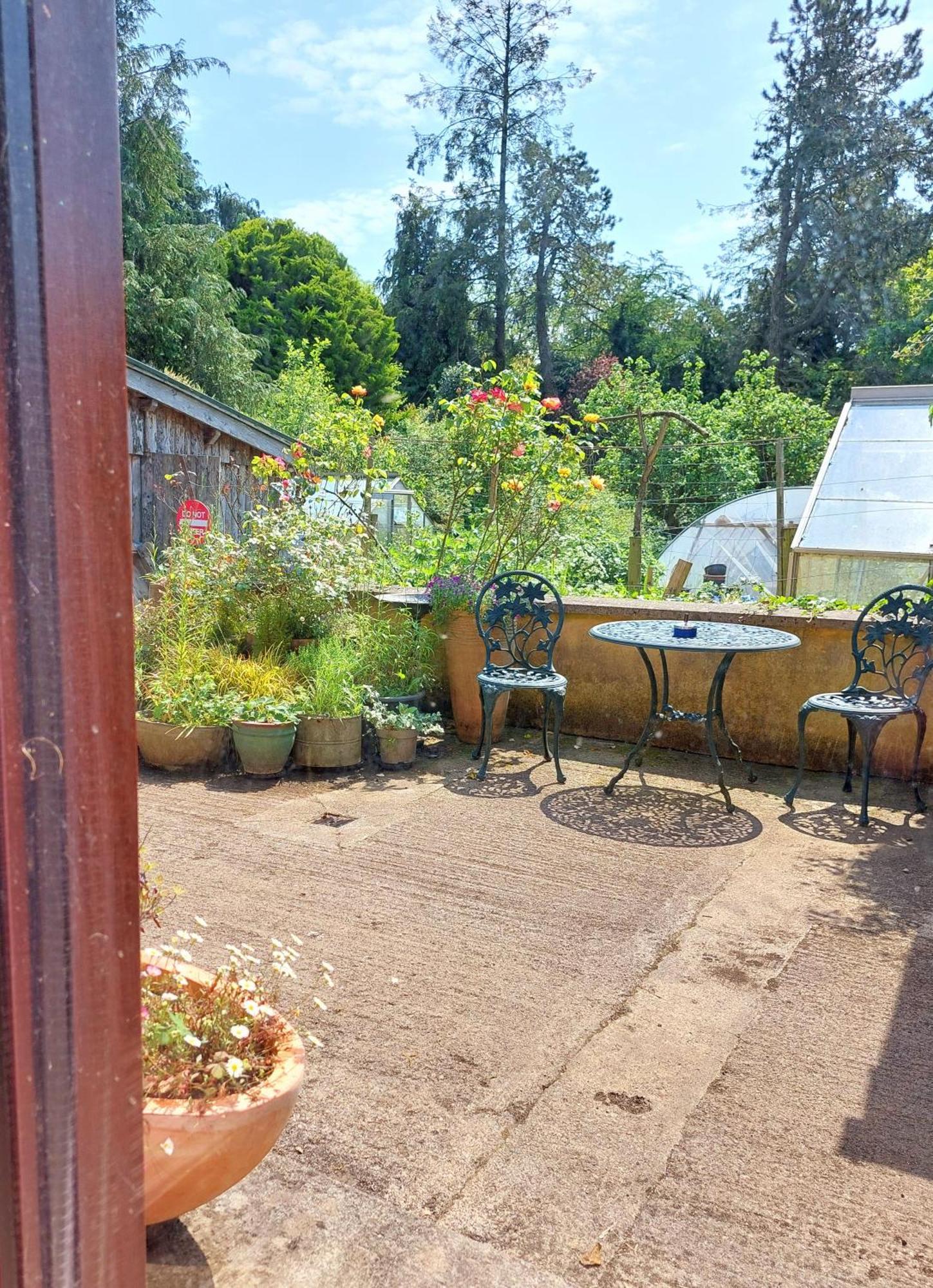 The Veterinary @ Kildare Village מראה חיצוני תמונה