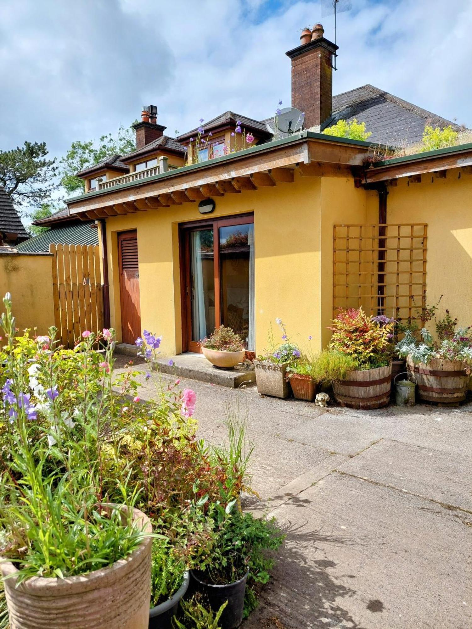 The Veterinary @ Kildare Village מראה חיצוני תמונה